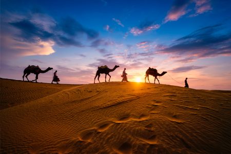 indian-cameleers-camel-driver-with-camel-silhouettes-dunes-sunset-jaisalmer-rajasthan-india